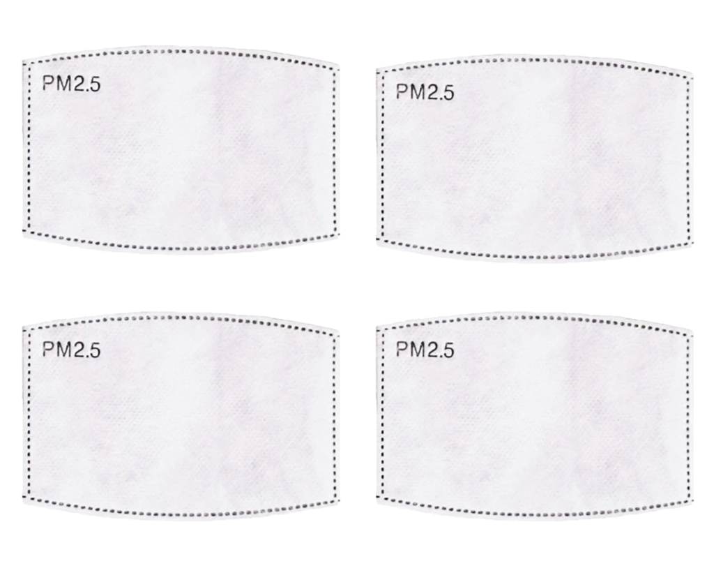 PM 2.5 Carbon Replacement Filter - 4 Pack