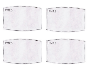 PM 2.5 Carbon Replacement Filter - 4 Pack