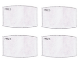 PM 2.5 Carbon Replacement Filter - 4 Pack